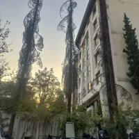 برش درخت