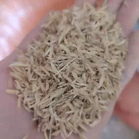 پوشال برنج سبوس برنج خاسوج