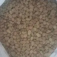 3تن موجود|خوردنی و آشامیدنی|مهربان, |دیوار