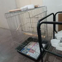 قفس کاسکو|لوازم جانبی حیوانات|تهران, پرستار|دیوار
