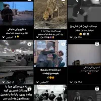 پیج 12/5کاملا واقعی بدون یک دونه فیک|لوازم جانبی موبایل و تبلت|لیردف, |دیوار