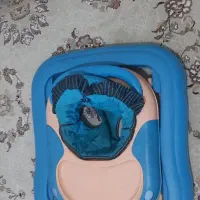 کالسکه ، کریر ، روروئک