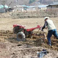 خدمات باغبانی زمستانه