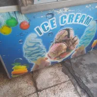 فریزر ایستاده و خوابیده|فروشگاه و مغازه|کرج, ساسانی (قلمستان)|دیوار