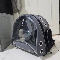 حمل و نقل پت