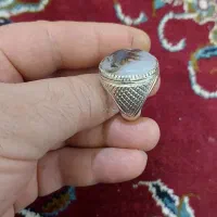 انگشتر شجر قاین