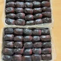 خرما دوریف
