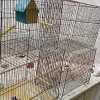 قفس پرنده