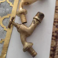 شیر برنجی نو