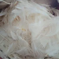 ۲ عدد بالش پر نو و ۱ عدد پتو کارکرده