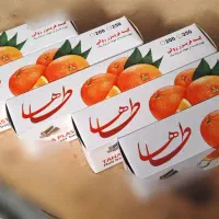 سفره یکبار مصرف|سفره، حوله، دستمال آشپزخانه|قم, خداکرم|دیوار