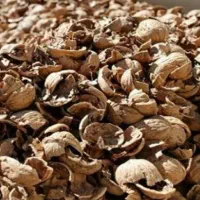 پوست گردو خارجی و ایرانی