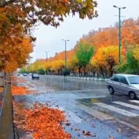 راننده خانم و غیره راننده جهت همکاری