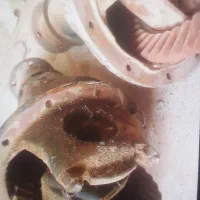 فروش دوعددکله گاوی پیکان|قطعات یدکی و لوازم جانبی|زارچ, |دیوار