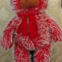 خرس ولنتاین قد یک متر