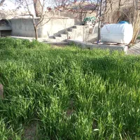 تراکتور گلدونی