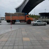 شرکت نوین چوب اهواز خریدار اکالیبتوس|خدمات باغبانی و درختکاری|اهواز, اهواز|دیوار
