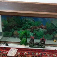 اکواریوم همراه با وسایل|ماهی|کوهدشت, |دیوار