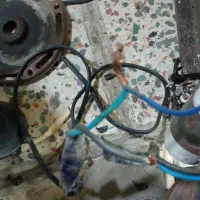 تعدادی وسایل برقی صوتی،آمپیلی،نور پرداز،پمپ آب|سیستم صوتی خانگی|نسیمشهر, |دیوار