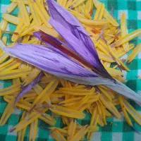 زعفران تازه باگل اعلا درجه یک..محصول شهریار|خوردنی و آشامیدنی|رباطکریم, کیکاور|دیوار