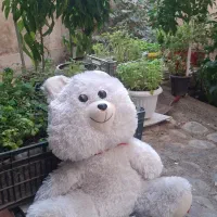 عروسک خرس مانستر خارجی ۲تا بزرگ و متوسط نو نو|اسباب‌بازی بچه|کرج, ساسانی (قلمستان)|دیوار
