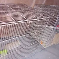 ۳عدد قفس پرنده|لوازم جانبی حیوانات|کرمانشاه, |دیوار