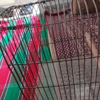 قفس|لوازم جانبی حیوانات|تهران, ائمه اطهار|دیوار