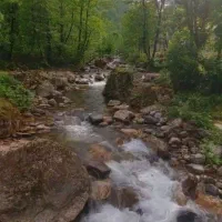 نیازمند کارگر دائمی در شمال