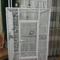 قفس  کاسکو  یک ماه خریدم