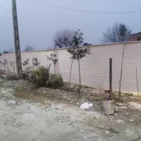 اجرای نمای سیمانی|خدمات پیشه و مهارت|تنکابن, |دیوار