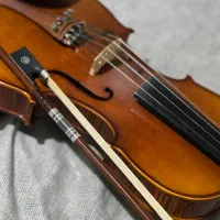 تدریس خصوصی ویولن