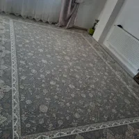 فرش نو|فرش|زنجان, |دیوار