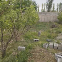 باغ ۴۰۰متر رامجین|فروش دفتر صنعتی، کشاورزی، تجاری|رامجین, |دیوار