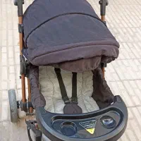 کالسکه دلیجان سالم