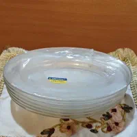 دیس مرغ خوری
