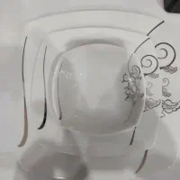 ظرف چینی