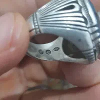 شجر تک درخت