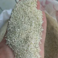 ریز دانه درشت فرقی با نیم دانه نداره