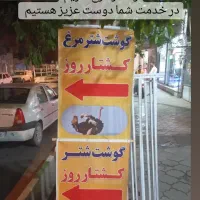 پوست شترمرغ