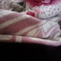 پتو...میشورم