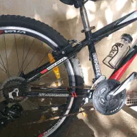 دوچرخه ۲۴ ویوا|دوچرخه، اسکیت، اسکوتر|قروه, |دیوار