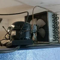 یخچال مغازه|فروشگاه و مغازه|گالیکش, |دیوار