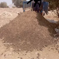 کود حیوانی گوسفندی