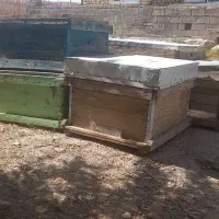 ۹ عدد کندو خالی با قاب|لوازم جانبی حیوانات|گیلان غرب, |دیوار