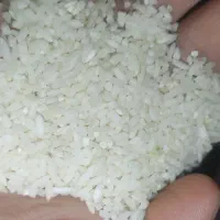 برنج درجه یک