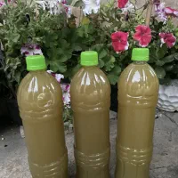 آبغوره و آبلیموی تازه