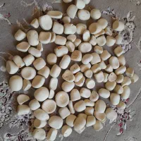 100عددسنگ اسیاب و|کلکسیون اشیاء عتیقه|فیروزه, |دیوار