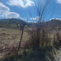 فروش زمین 6500 متری با قیمت مناسب