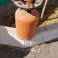 پیک نیک بزرگ