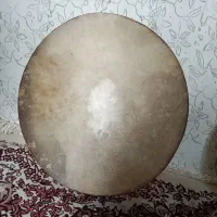 دایره‌پوست